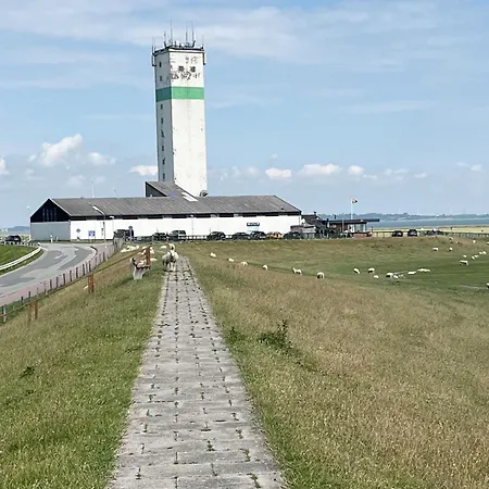 Kwatera prywatna Haus Lith - Albatros Nordstrand